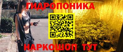 сатива Тулун