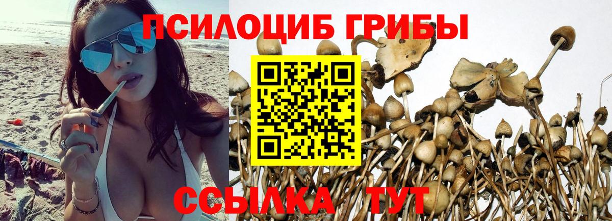 Галлюциногенные грибы мицелий  Вход с VPN  Бахчисарай 